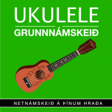 sjoppan-ukulele-grunnnamskeid-360x360